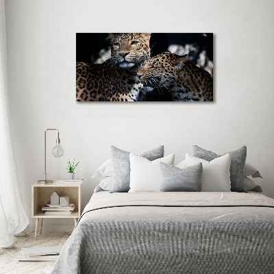 Acrylic wall art Two leopards