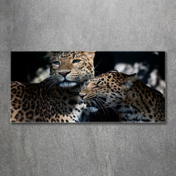 Acrylic wall art Two leopards