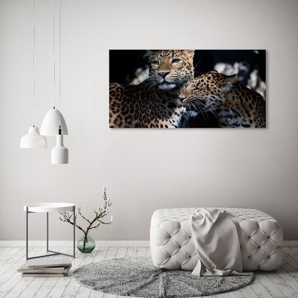 Acrylic wall art Two leopards