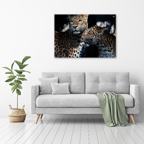 Acrylic wall art Two leopards