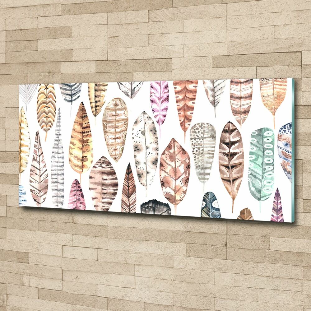 Wall art acrylic Colorful feathers