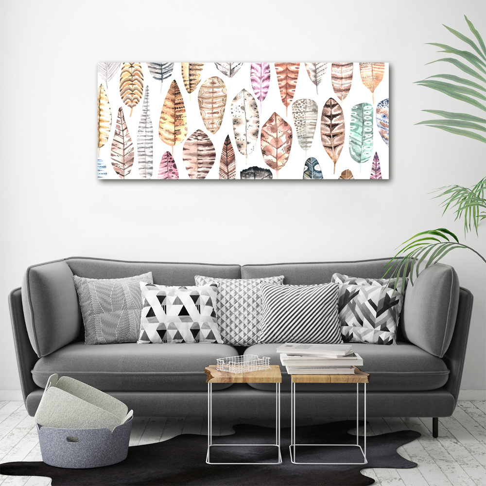 Wall art acrylic Colorful feathers