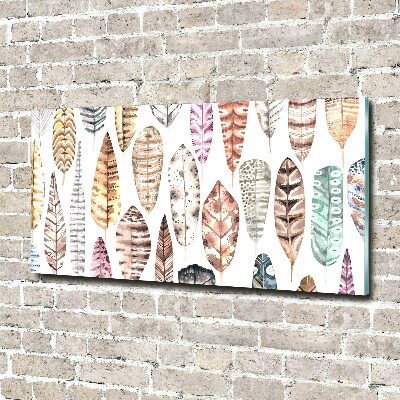 Wall art acrylic Colorful feathers