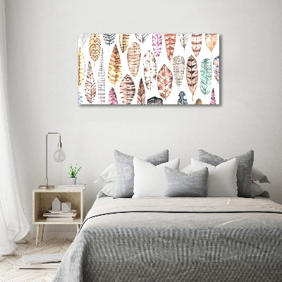 Wall art acrylic Colorful feathers