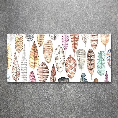 Wall art acrylic Colorful feathers