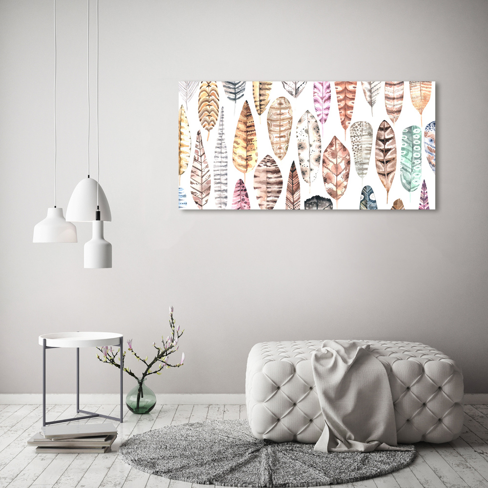 Wall art acrylic Colorful feathers