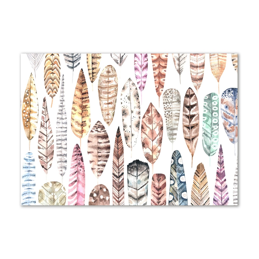 Wall art acrylic Colorful feathers