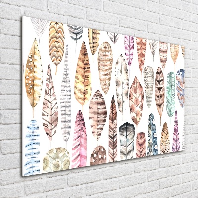 Wall art acrylic Colorful feathers