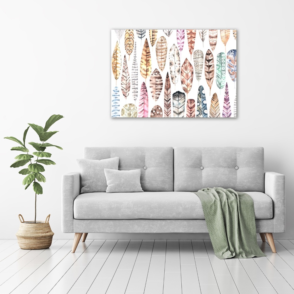 Wall art acrylic Colorful feathers