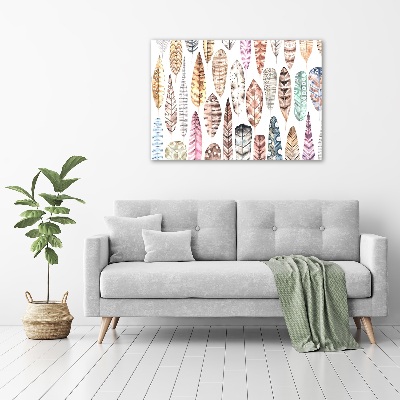 Wall art acrylic Colorful feathers