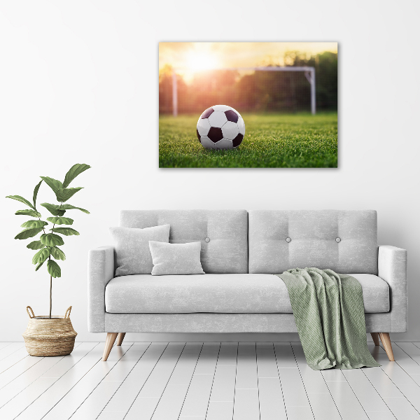 Wall art acrylic Football