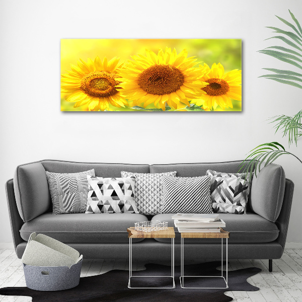 Wall art acrylic Sunflowers