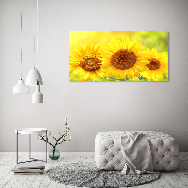 Wall art acrylic Sunflowers