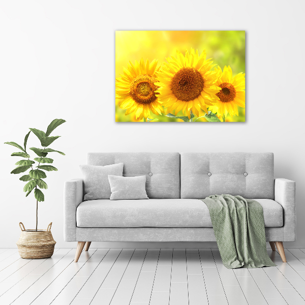 Wall art acrylic Sunflowers