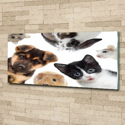 Wall art acrylic Pets