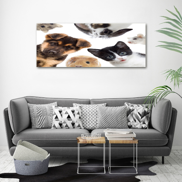 Wall art acrylic Pets