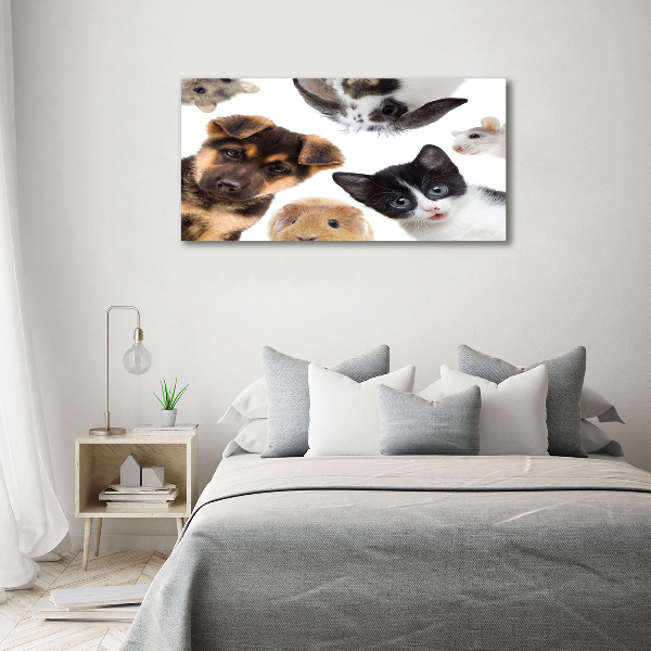 Wall art acrylic Pets