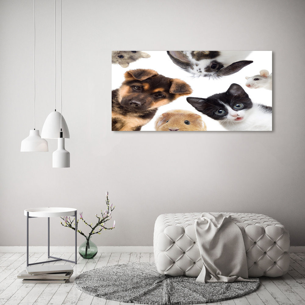 Wall art acrylic Pets