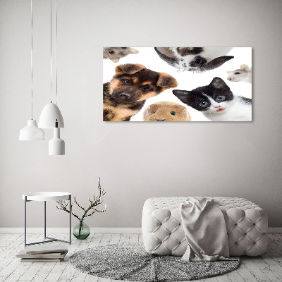 Wall art acrylic Pets