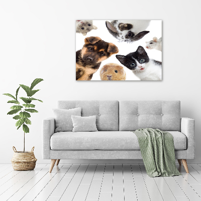 Wall art acrylic Pets