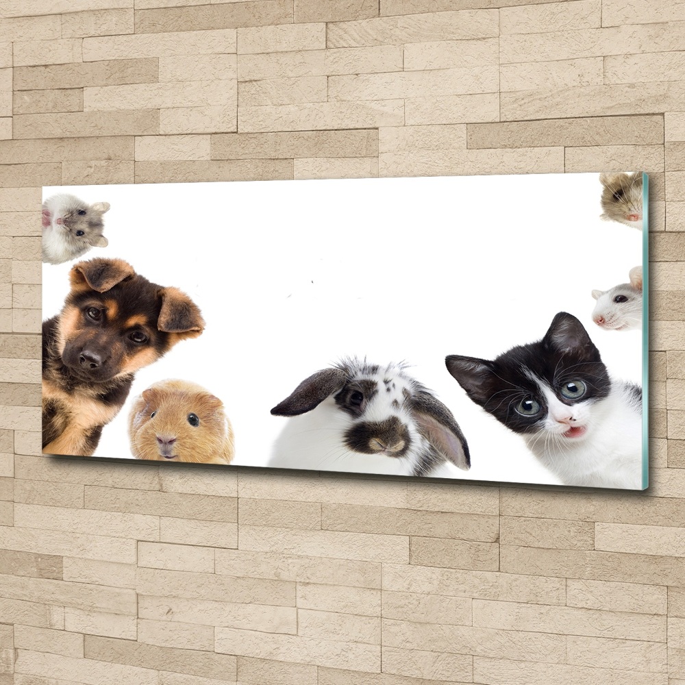 Wall art acrylic Pets