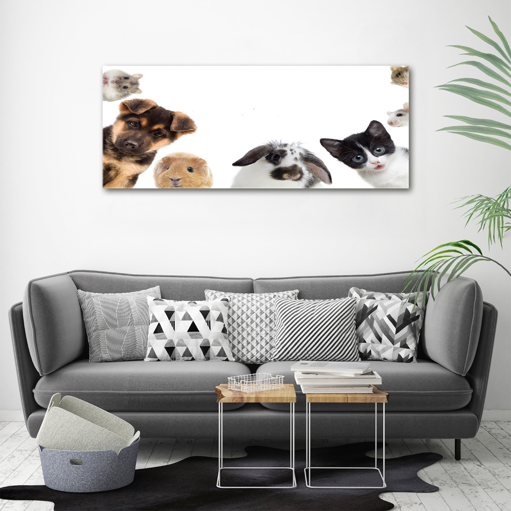 Wall art acrylic Pets