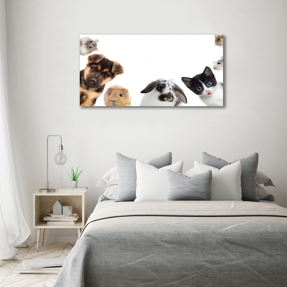 Wall art acrylic Pets