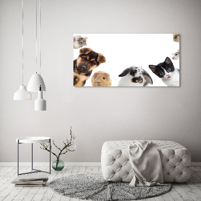 Wall art acrylic Pets