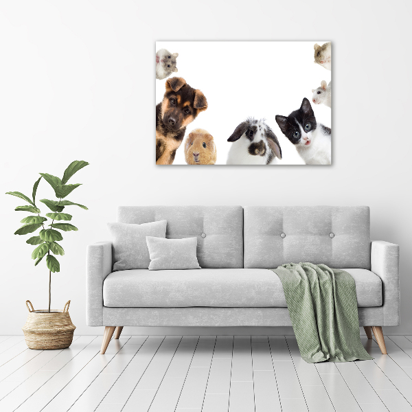 Wall art acrylic Pets