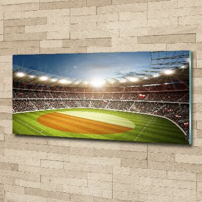 Wall art acrylic Poland stadium