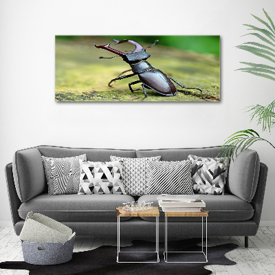 Acrylic wall art Beetle