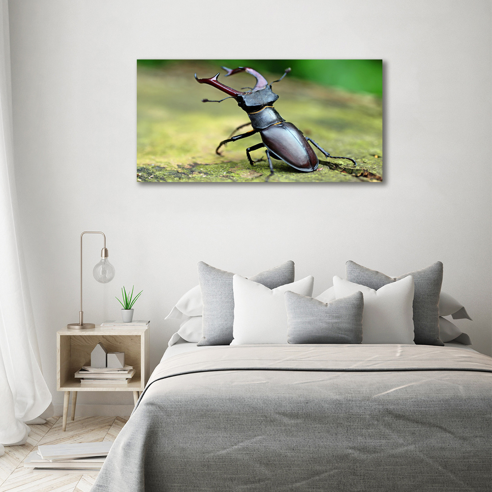 Acrylic wall art Beetle