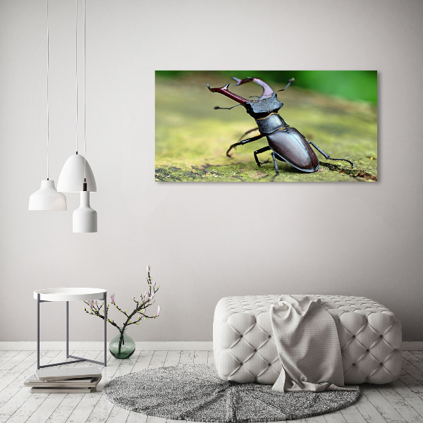 Acrylic wall art Beetle