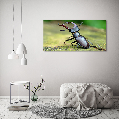 Acrylic wall art Beetle