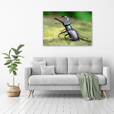 Acrylic wall art Beetle