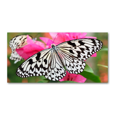 Print on acrylic Flower butterfly