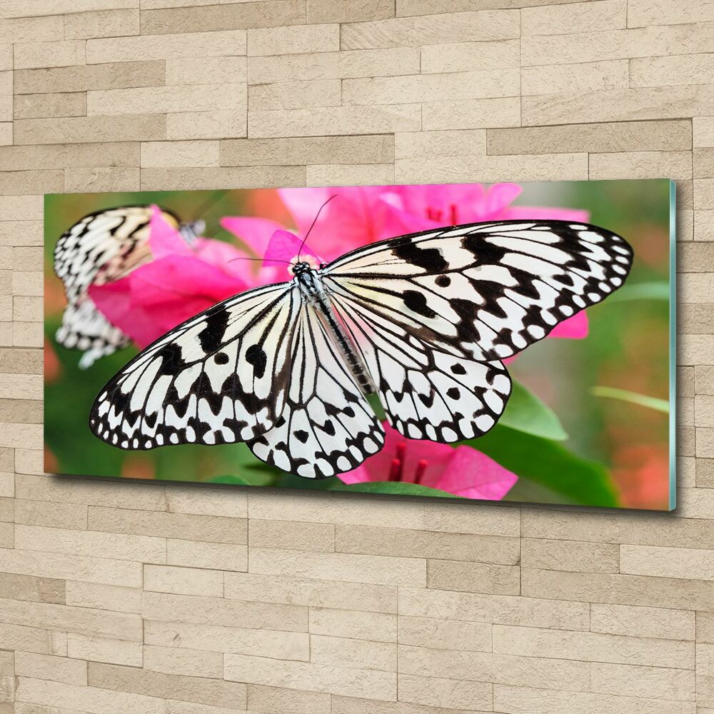 Print on acrylic Flower butterfly