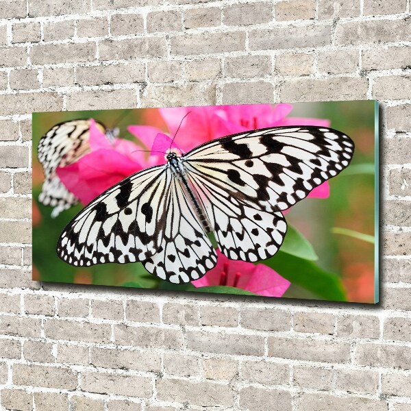 Print on acrylic Flower butterfly