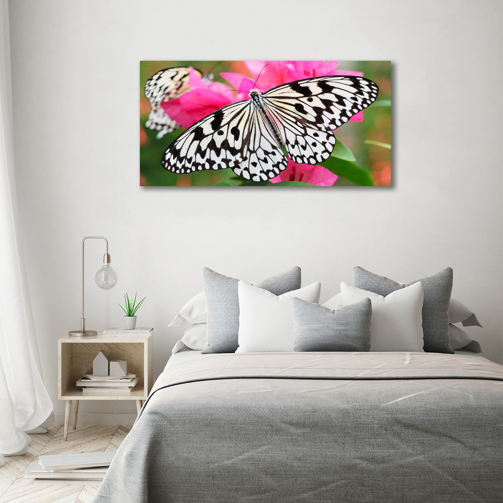 Print on acrylic Flower butterfly