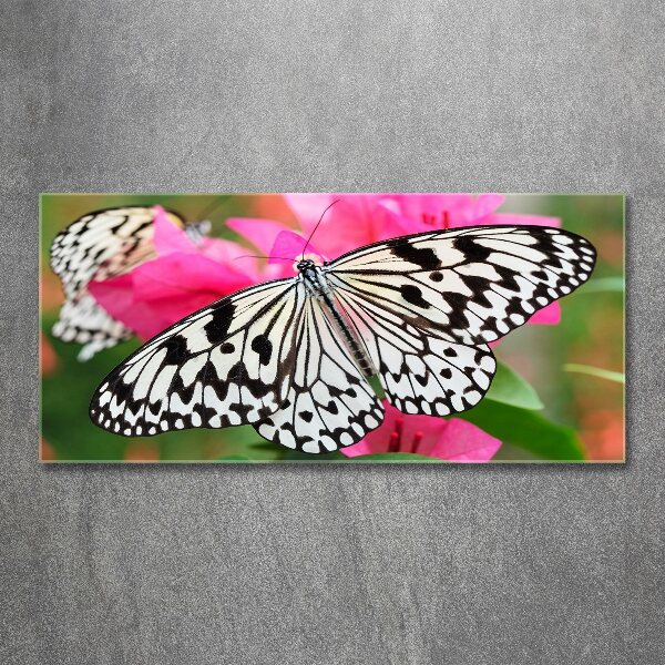 Print on acrylic Flower butterfly