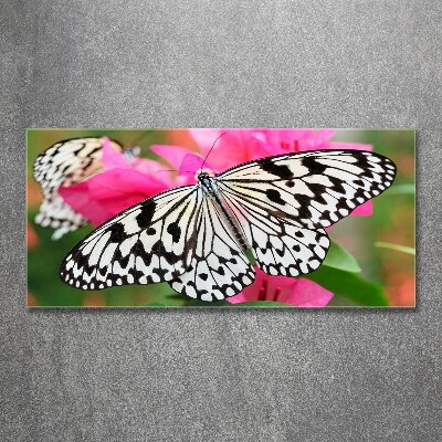 Print on acrylic Flower butterfly