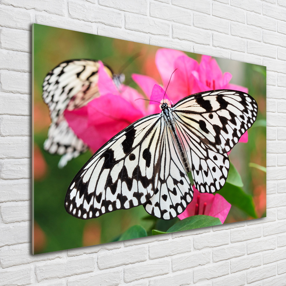 Print on acrylic Flower butterfly