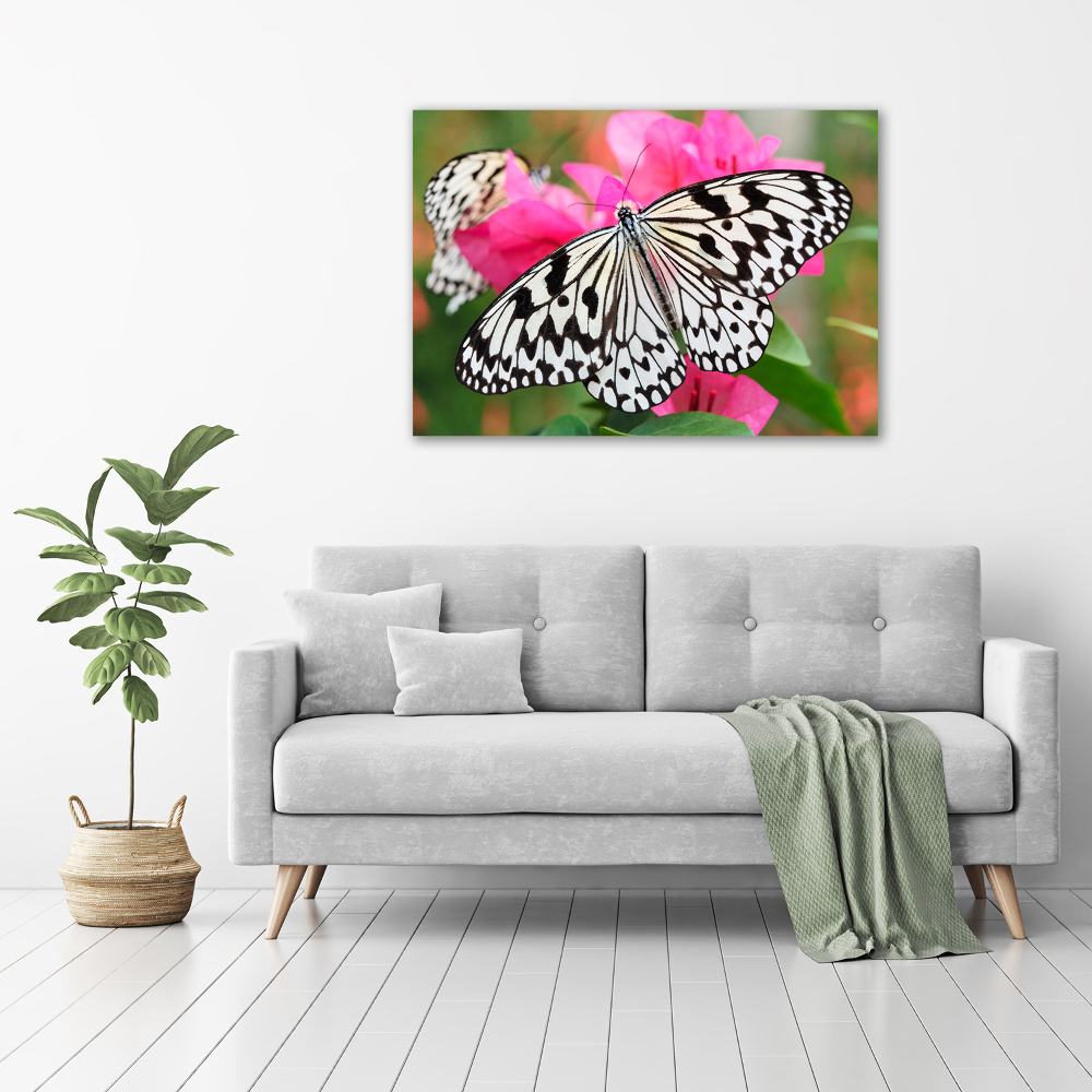 Print on acrylic Flower butterfly