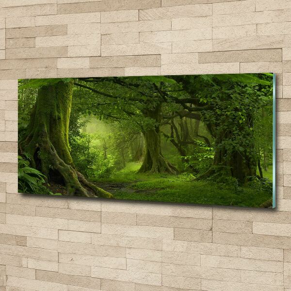 Wall art acrylic Tropical jungle