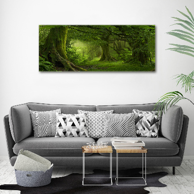 Wall art acrylic Tropical jungle