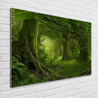 Wall art acrylic Tropical jungle