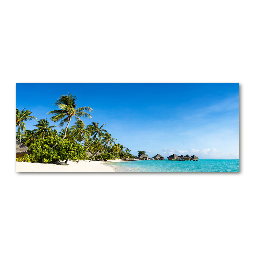 Acrylic print Beach in the Caribbean