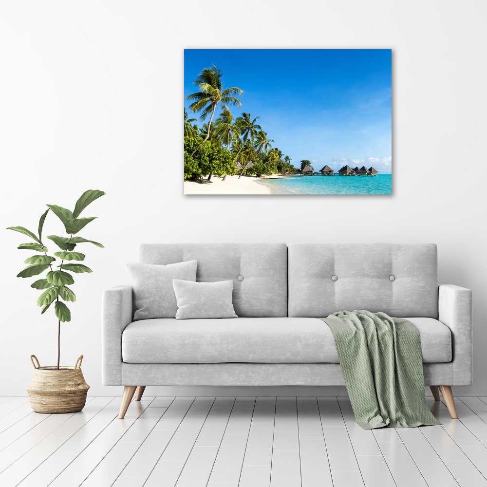 Acrylic print Beach in the Caribbean