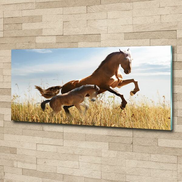 Print on acrylic Mare with foal