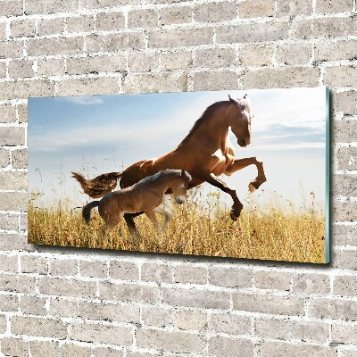 Print on acrylic Mare with foal